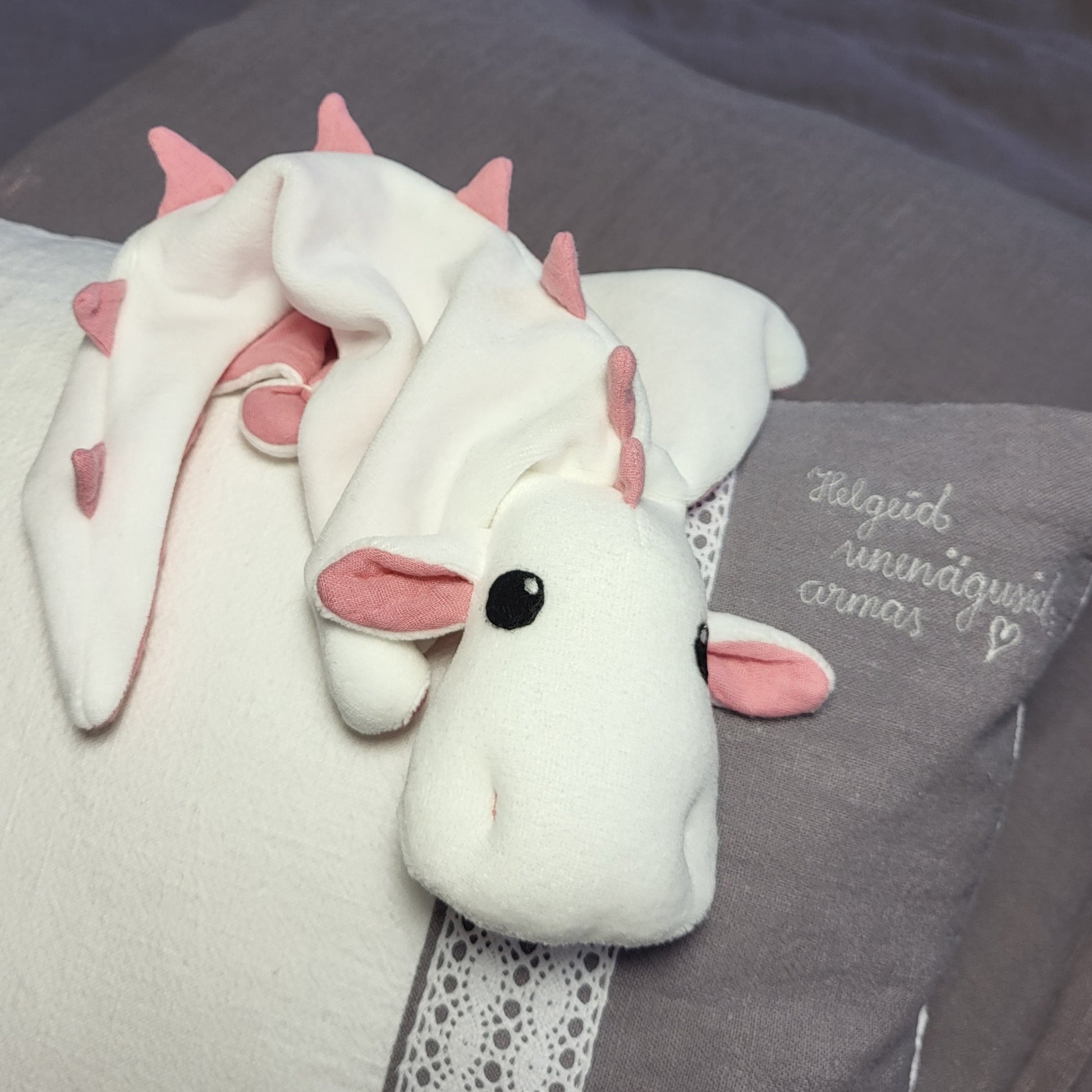 Nimeline kIngitus beebi sünni puhul. Nimeline katsikukink, sünniandmetega kingitus beebile