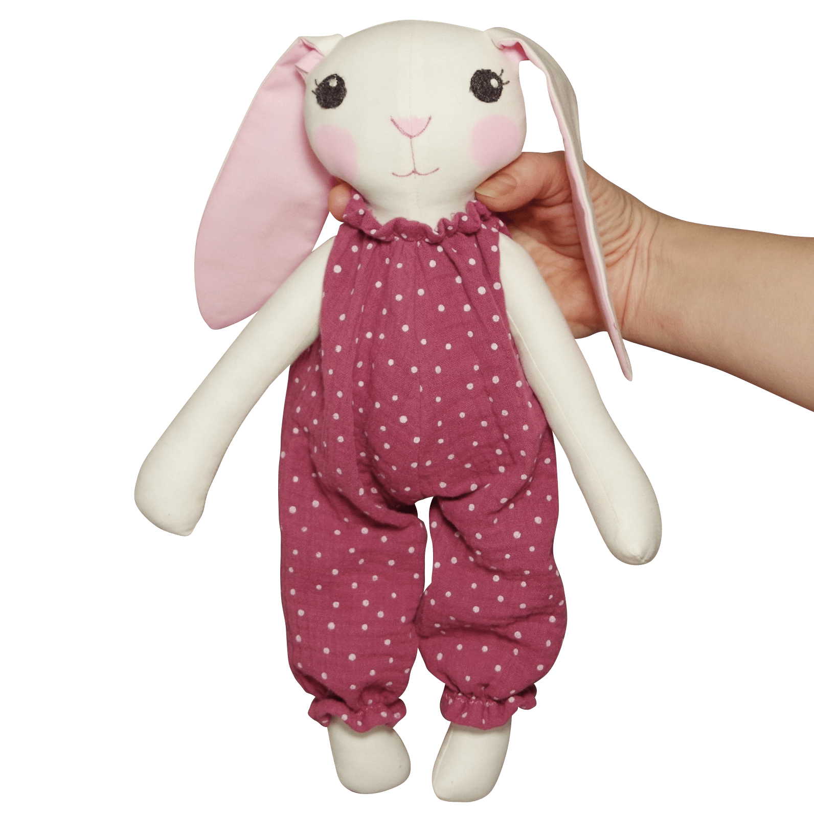 Katsikukink tüdrukule