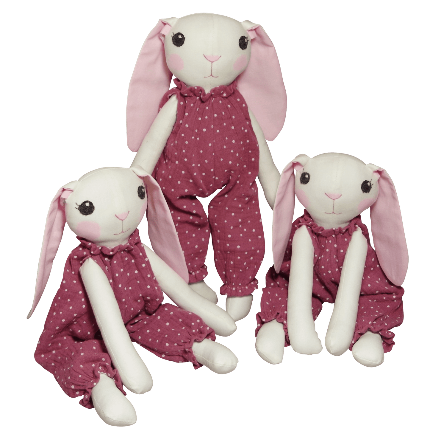 Mänguloom, jänes. Katsikukingitus