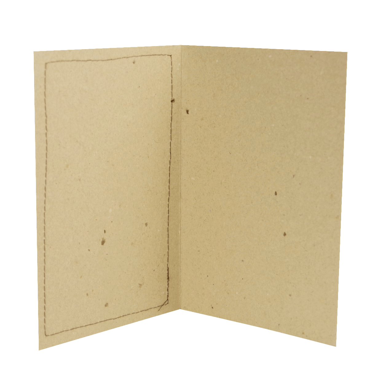 Toonekurega katsikukaart tüdrukule, oma teksti võimalus