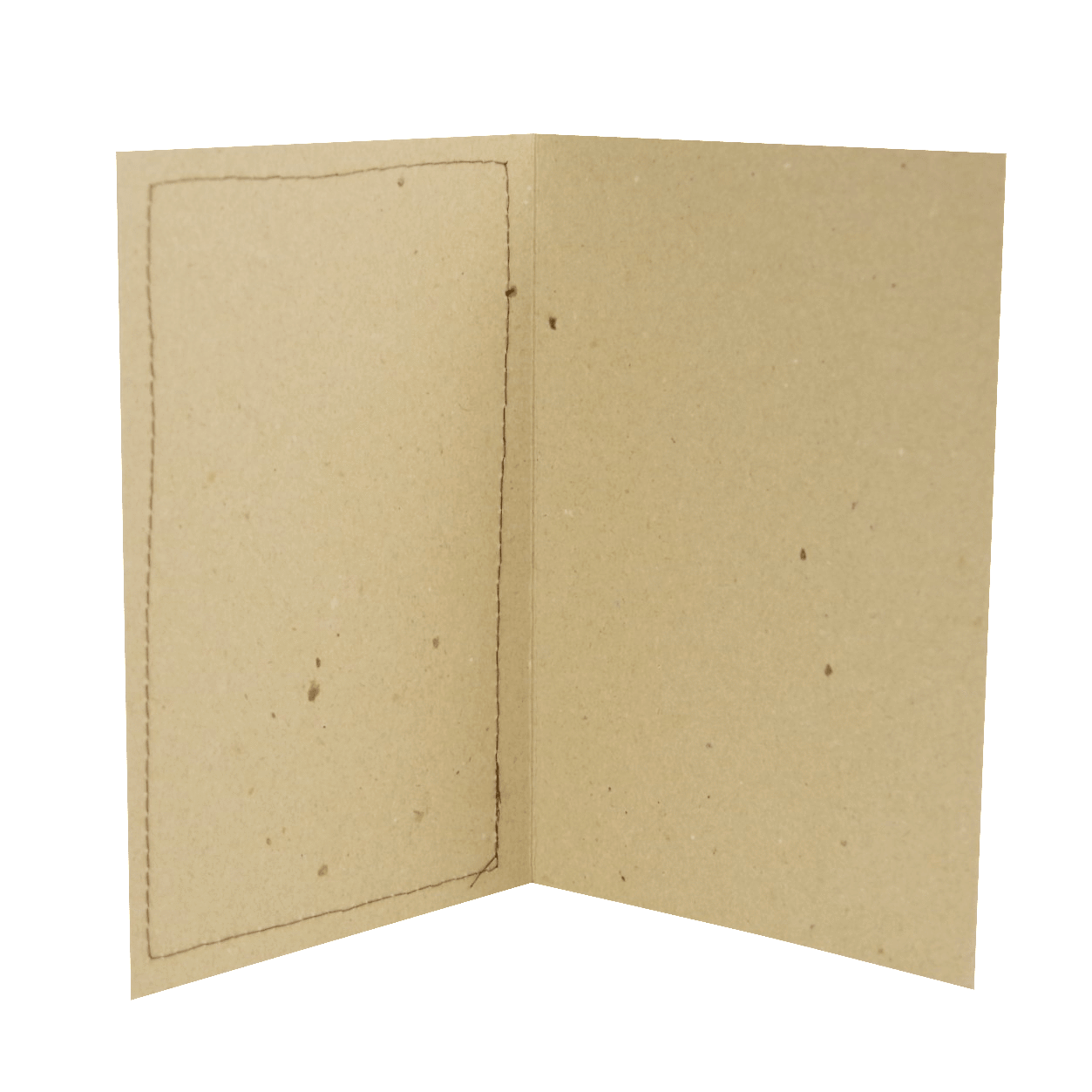 Sünnipäevakaart kassiga, nime lisamise võimalus