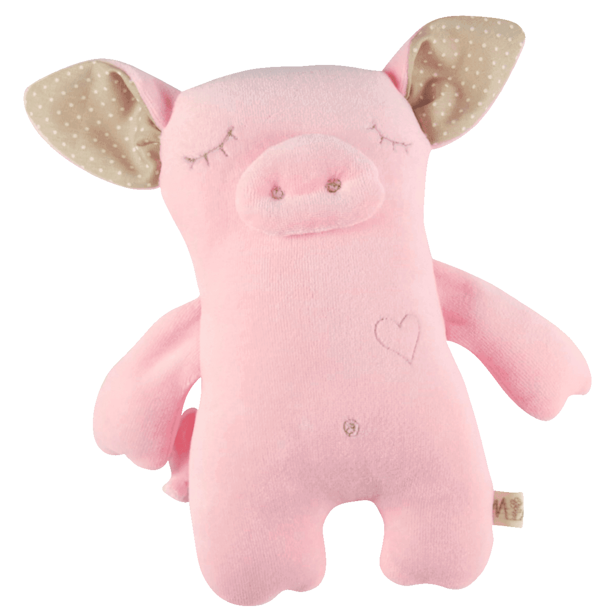 Siga, notsu, kaisukas