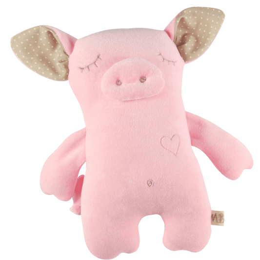 Siga, notsu, kaisukas