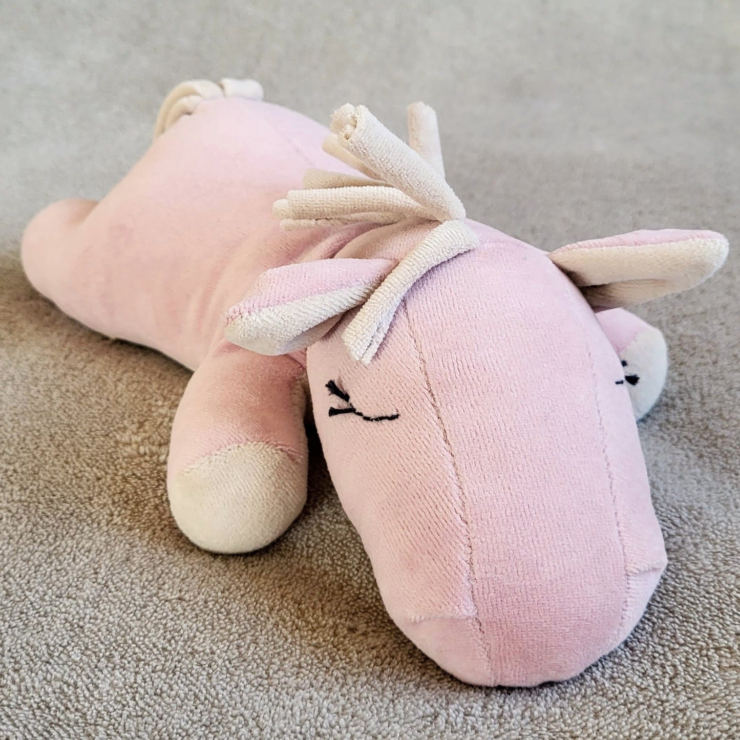 Katsikukink tüdrukule, 2026 hobuse aasta, kaisukas