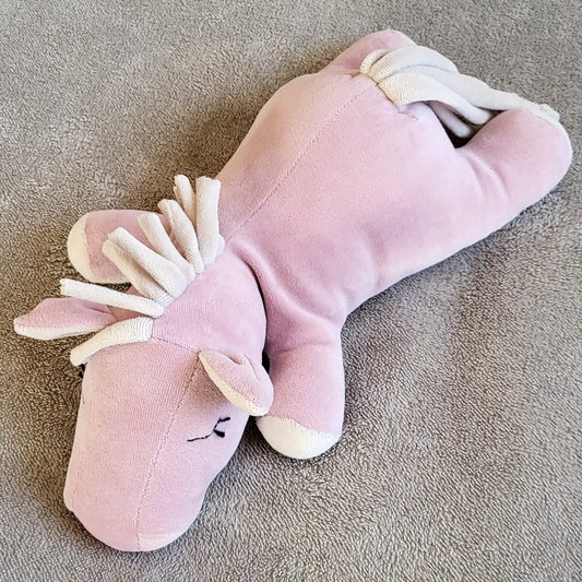 Kaisukas tüdrukule, kaisuhobune. Nimeline katsikukingitus